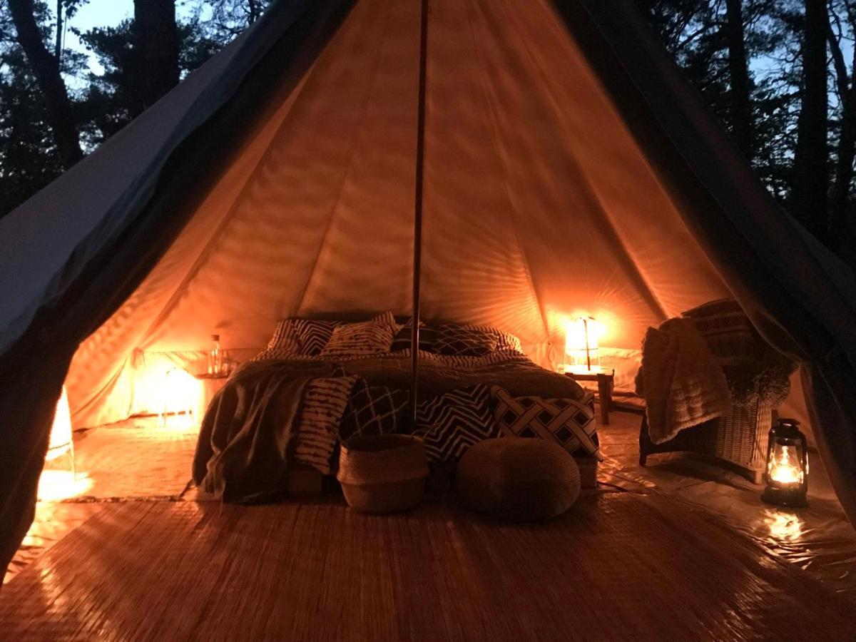 Forest Glamping Värmdö Kültér fotó