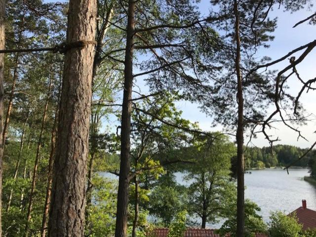 Forest Glamping Värmdö Kültér fotó